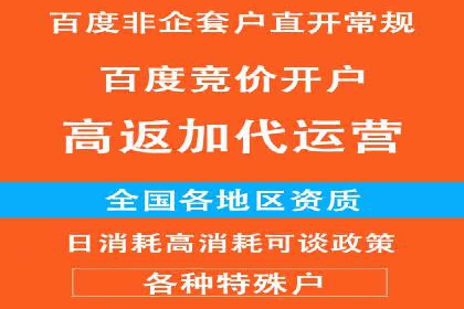 竞价排名广告投放案例