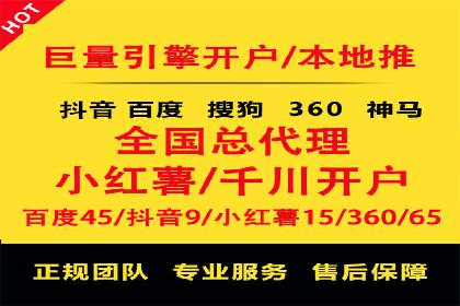 成功SEM竞价托管案例分析报告